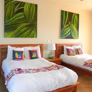 Cardon Adventure Mazatlán